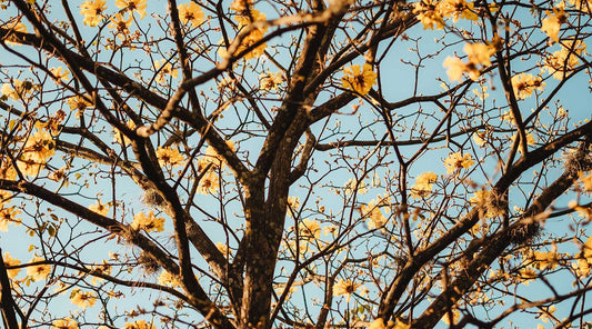 The importance of protecting your skin during fall