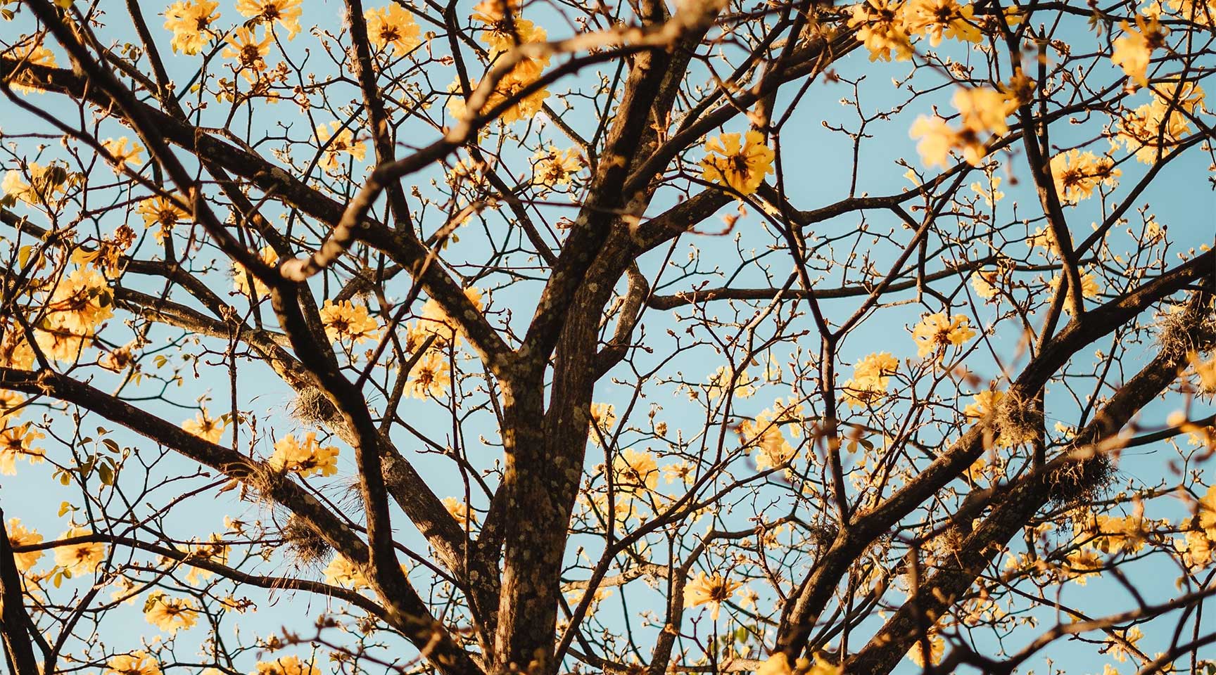 The importance of protecting your skin during fall