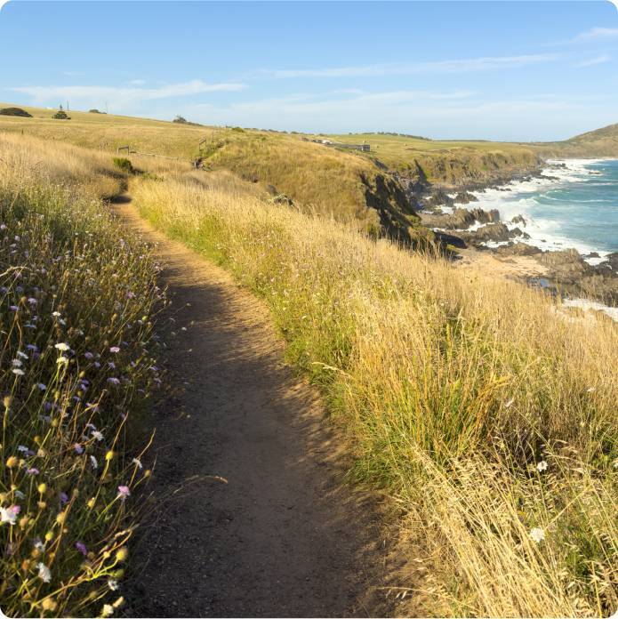 Green grassy hills with the ocean in the backbround.